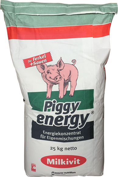 piggy energy